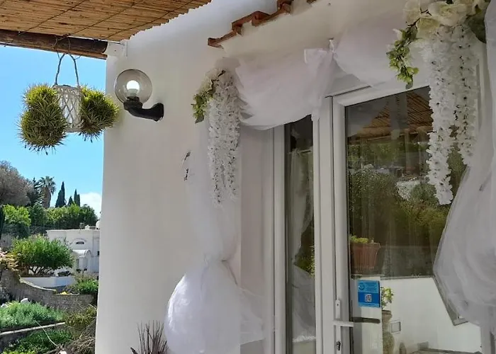 La Necussella