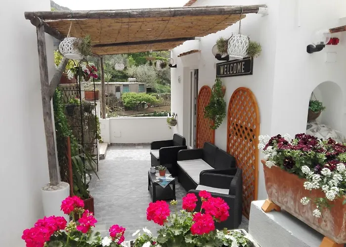 La Necussella
