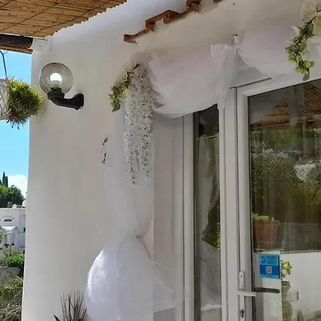 La Necussella