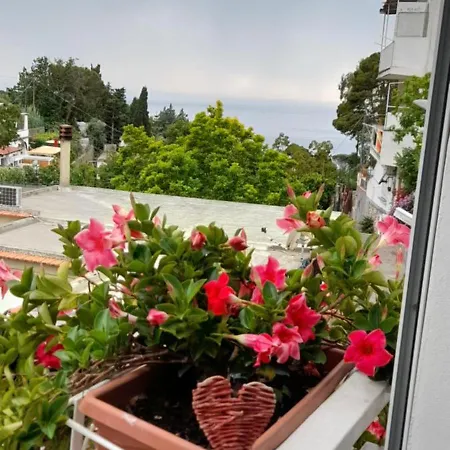 La Necussella Appartement Anacapri (Isola di Capri)