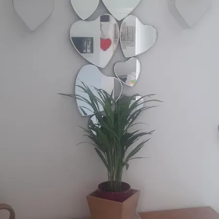 La Necussella Appartamento *