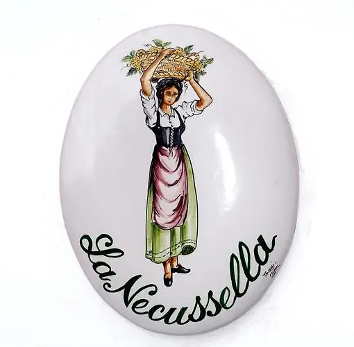 La Necussella Appartement